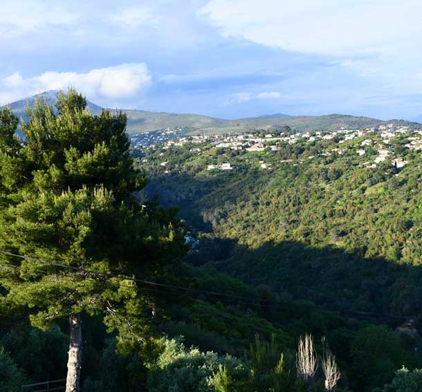 Vue du restaurant